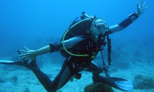 Viajes y cursos de buceo en Nubatukan