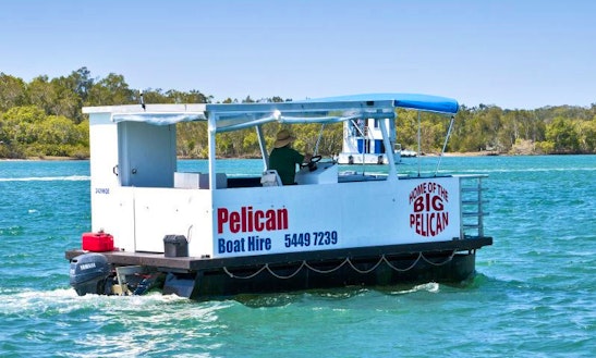 pontoon boat hire noosa white pontoon water taxi private charter in noosa heads pontoon boat hire noosa white pontoon water taxi private charter in noosa heads