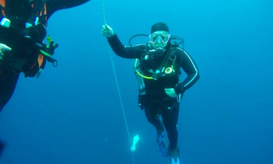 Diving Trips & Courses in Tisno