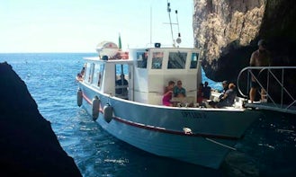 "M / N Nike" Motorboat Trips in Alghero