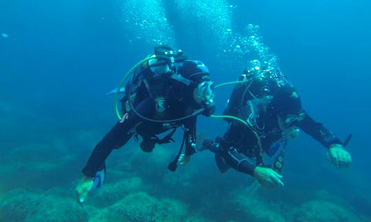 RIB Diving Trips and Courses in Santa Teresa di Gallura