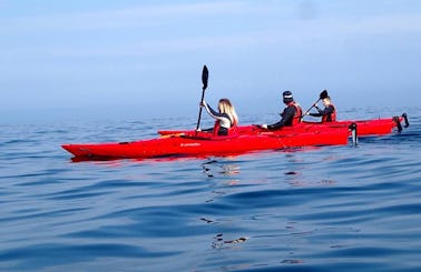 Single Kayak Rental and Tour in Nexø, Denmark