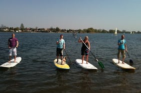 Paddleboard Courses and Tours in Hamburg
