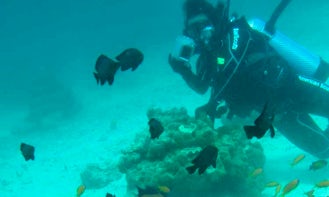 Diving Trips in Medan Sunggal