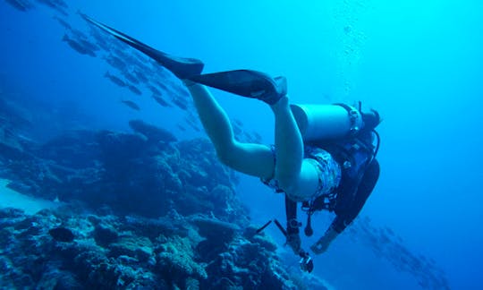 Diving Trips and Lessons in Hengchun Township