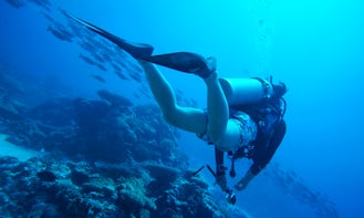 Diving Trips and Lessons in Hengchun Township