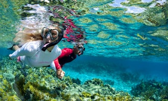 Snorkeling Trips in Centola
