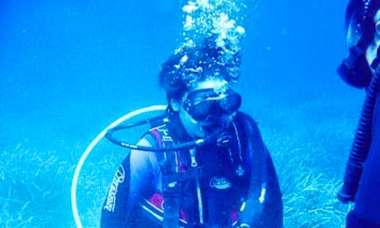 Diving Courses and Tour in Andros
