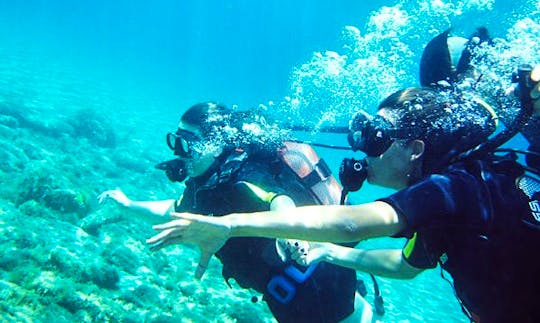 Diving Courses and Tour in Andros