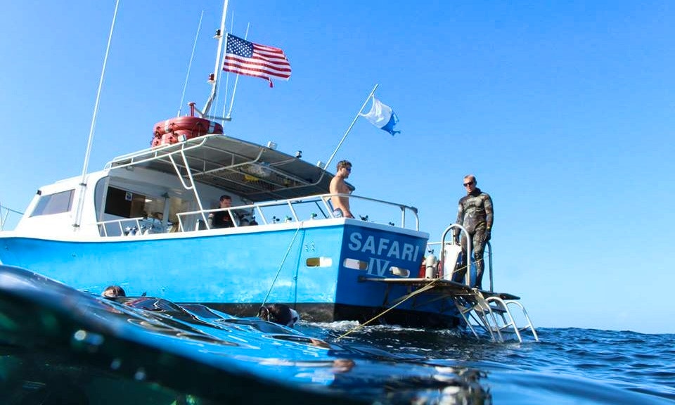 "Safari IV" 45' Custom Dive Boat In North Myrtle Beach ... "Safari IV" 45' Custom Dive Boat In North Myrtle Beach ...