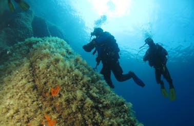 Scuba Diving Tour in Marciana