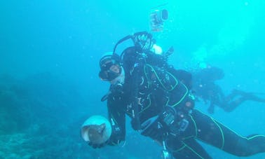 Viajes de buceo en Santa Teresa di Gallura