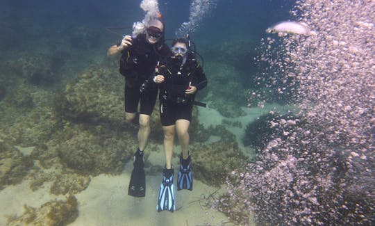 Diving Trips and Courses in Peyia