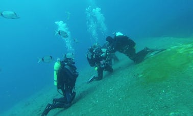 Diving Trips and Courses in Peyia