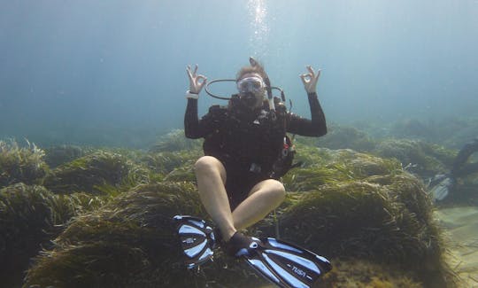 Diving Trips and Courses in Peyia