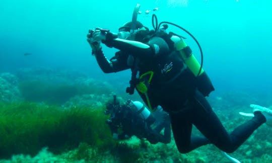 Diving Trips and Courses in Peyia