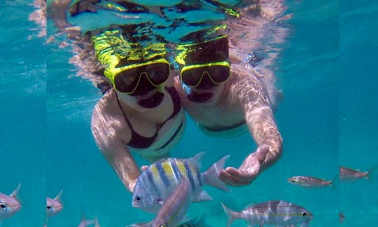 Snorkeling - Maracajaú / RN