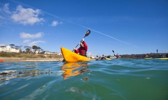Single Kayak Tour in Falmouth