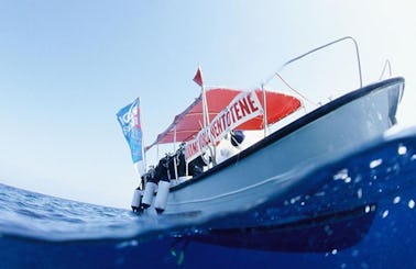 Book a Dive Boat "Italy" in Ventotene, Italy