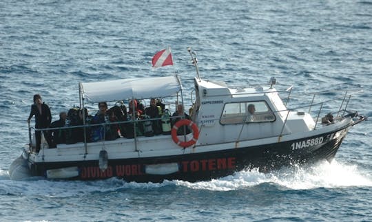 Barco de buceo de 26 pies