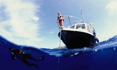 26ft Dive Boat "Poseidon Gozzo"  in Ventotene, Italy