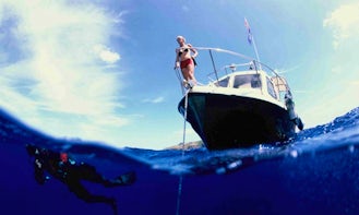 26ft Dive Boat "Poseidon Gozzo"  in Ventotene, Italy
