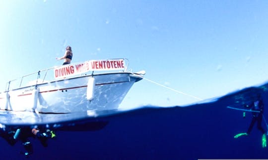 26ft Dive Boat "Miki Mouse" in Ventotene, Italy