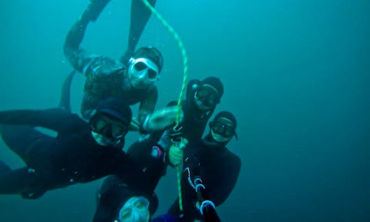 Diving Trips & Lessons in New Taipei City, Taiwan
