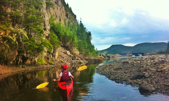 Daily Tow & Go Kayak Tour on Trinity Bay, Newfoundland and Labrador, Canada