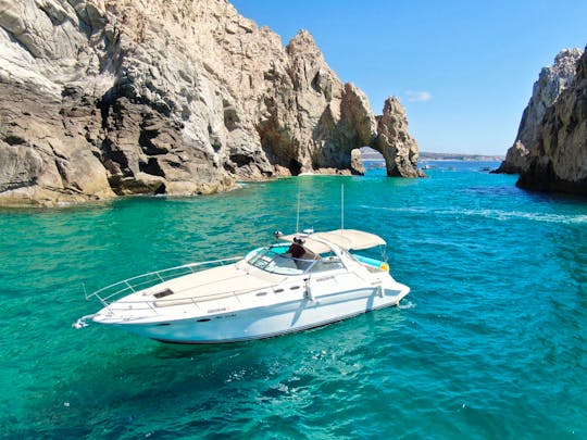 Sea Ray 240 Sundancer Luxury Yacht in Cabo San Lucas