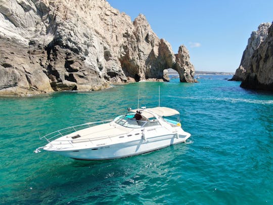 Sea Ray 240 Sundancer Luxury Yacht in Cabo San Lucas