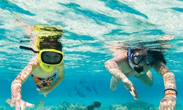 Book this 60-Minutes Snorkeling Trips in Kuta, Indonesia