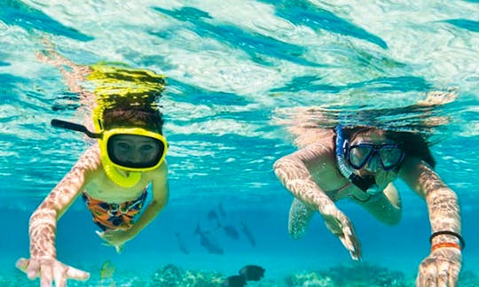 Book this 60-Minutes Snorkeling Trips in Kuta, Indonesia