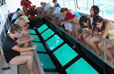 Glass Bottom Boat Tour in Indonesia