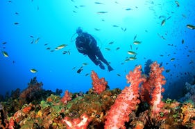 Scuba Diving in Kuta