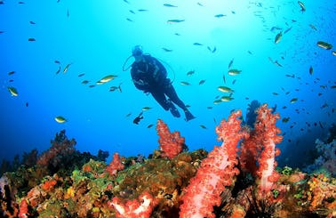 Scuba Diving in Kuta