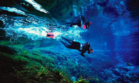 Diving Trips in Batu Caves