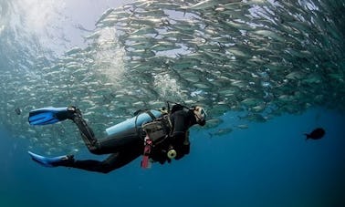 Viajes de buceo en las cuevas de Batu