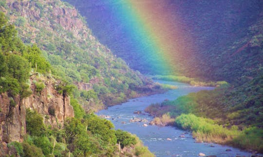 Magic happens in the Salt River Canyon