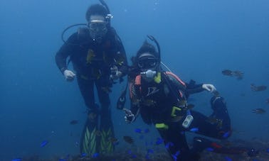 Viajes de buceo en el distrito de Nangang