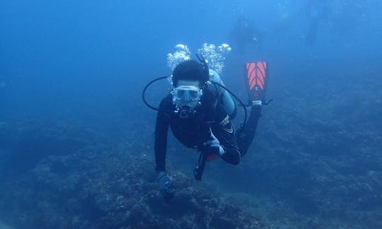 Diving Trips in Nangang District