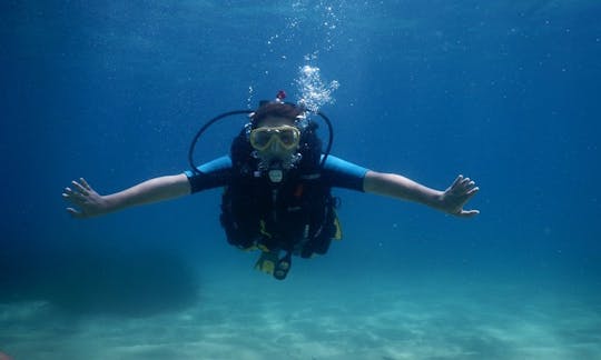 ハルキディキでのダイビング旅行