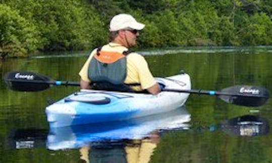 Kayak Rental and Trips in Iron City, Tennessee