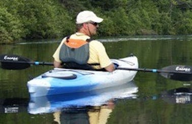 Kayak Rental and Trips in Iron City, Tennessee