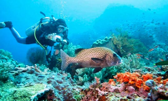 Explore Kuta Selatan's under water world!