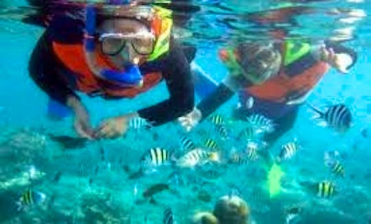 A Fun Snorkeling Tour in Kuta Selatan, Indonesia
