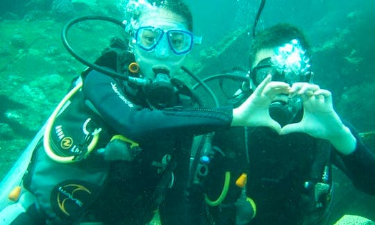 Day Dive Trips to Tulamben or Amed Area in Indonesia