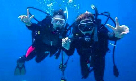 Diving Trips in Lapu-Lapu City