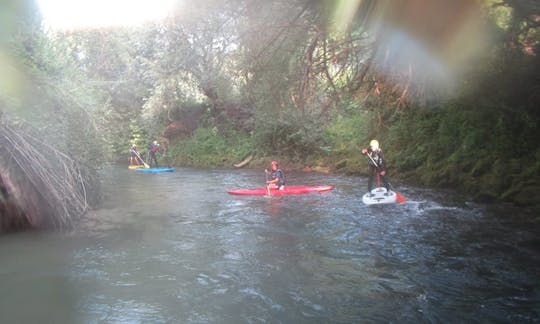 Stand Up Paddleboarding in Subiaco