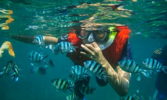 3 Day Snorkeling Tour in Kuta Selatan